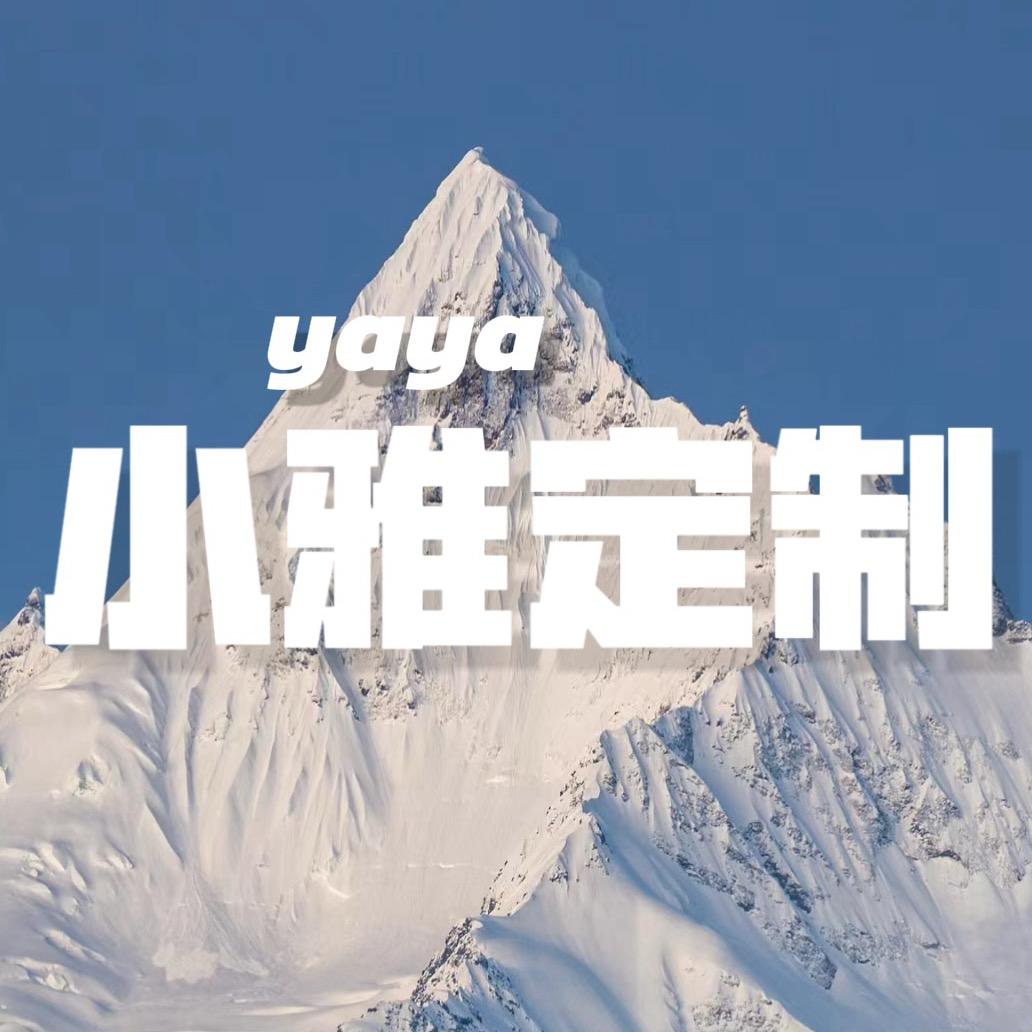 小雅YaYa定制(专业工装羽绒服)