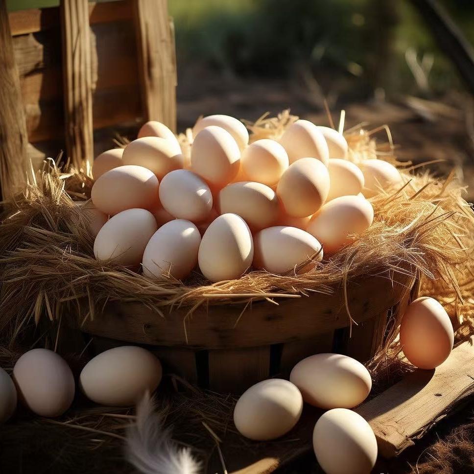 信维源次日达农产品