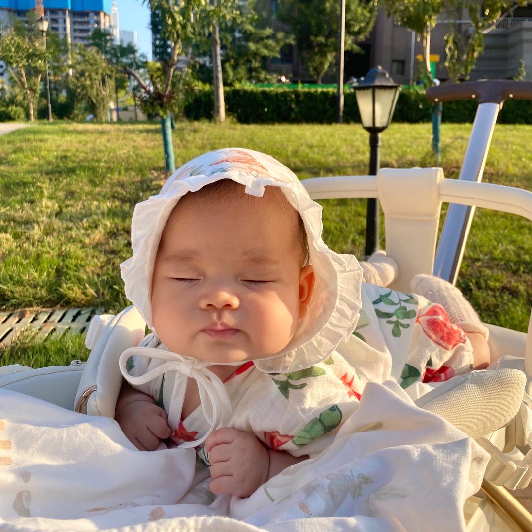 麦麦成长记