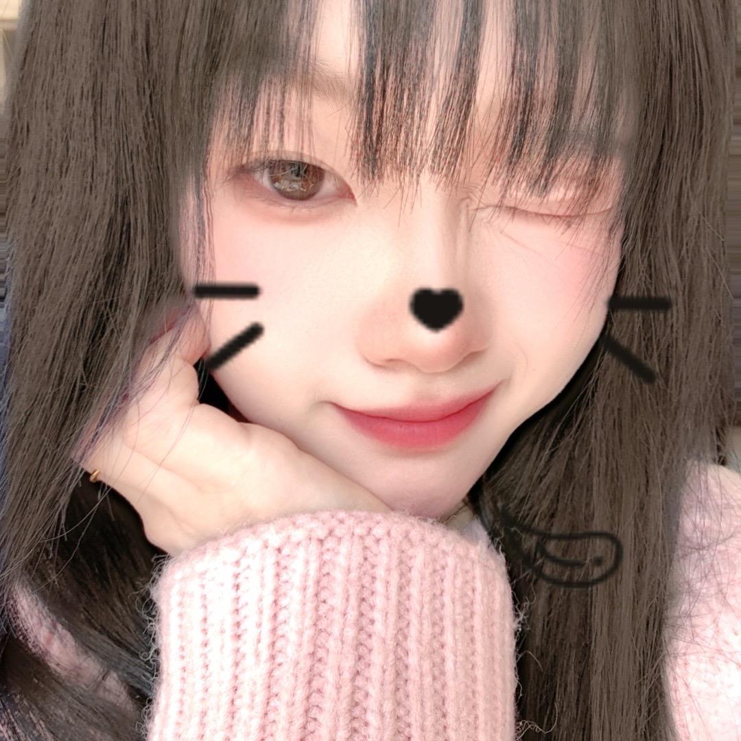 巷子里的懒猫
