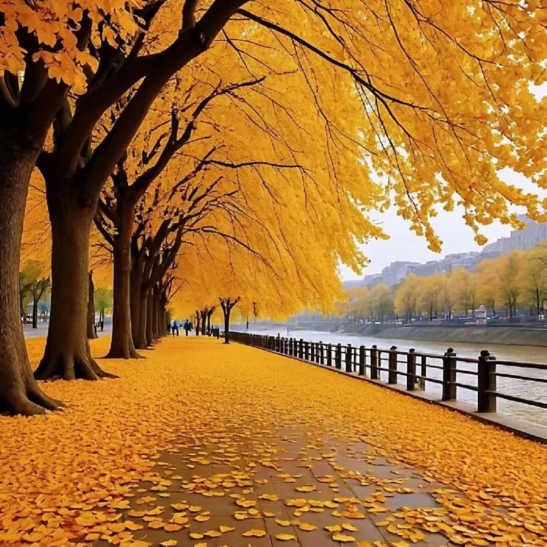 简爱百货～🉑🉑💗