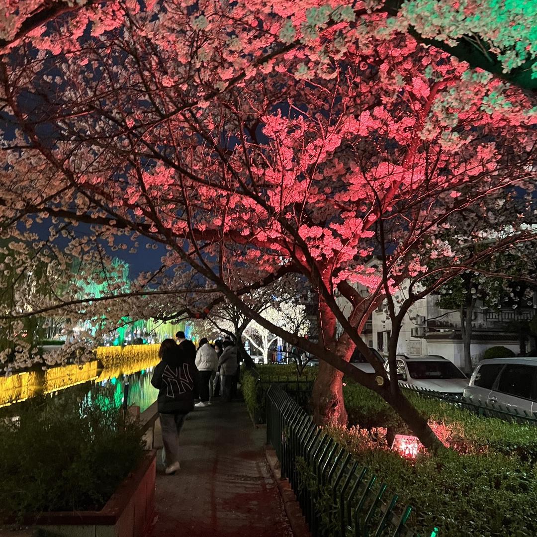 金迪