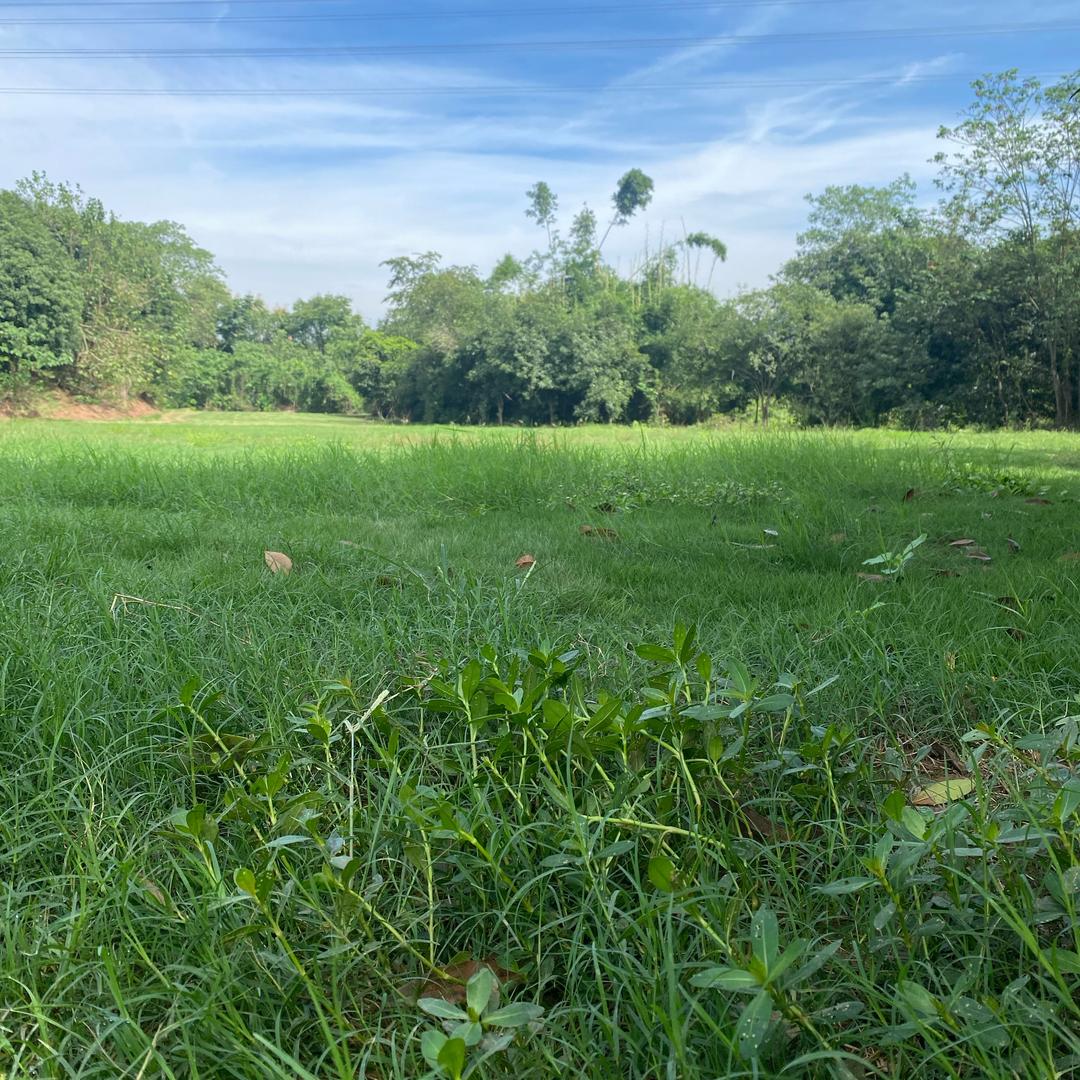 青少年实践教育陈老师