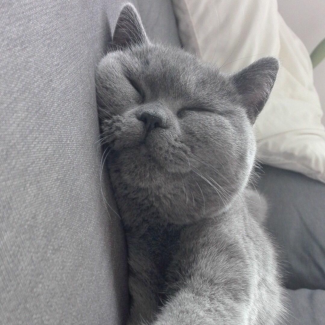 ღ十