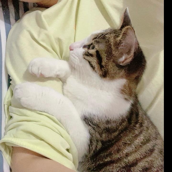 小倩