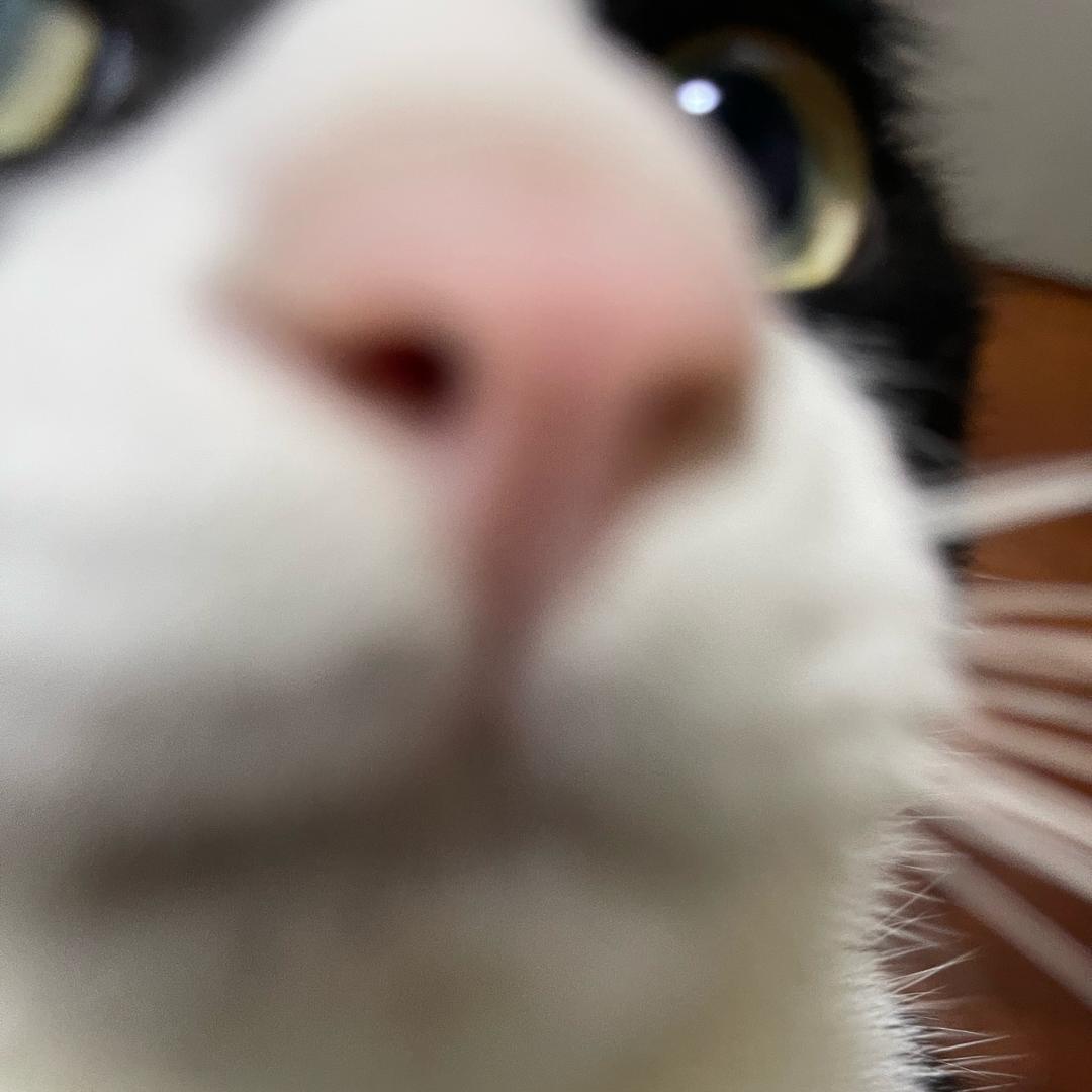 Wazxswedcvfrtgbnhyuj