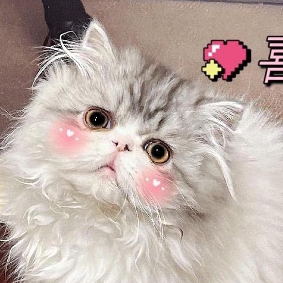 长不大的三宝
