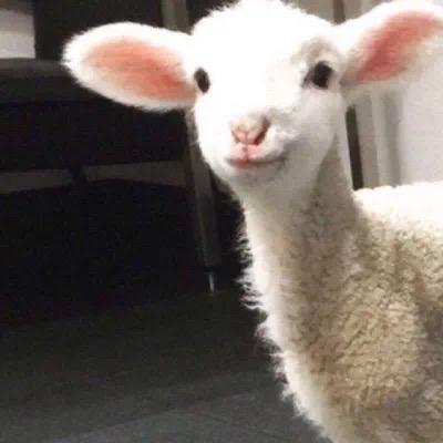 余味.