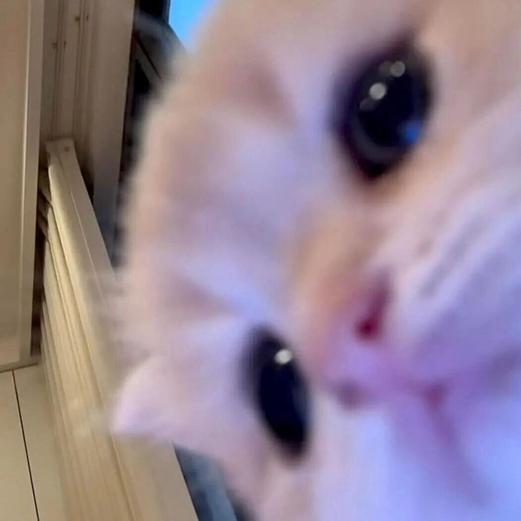 yyyyyyy