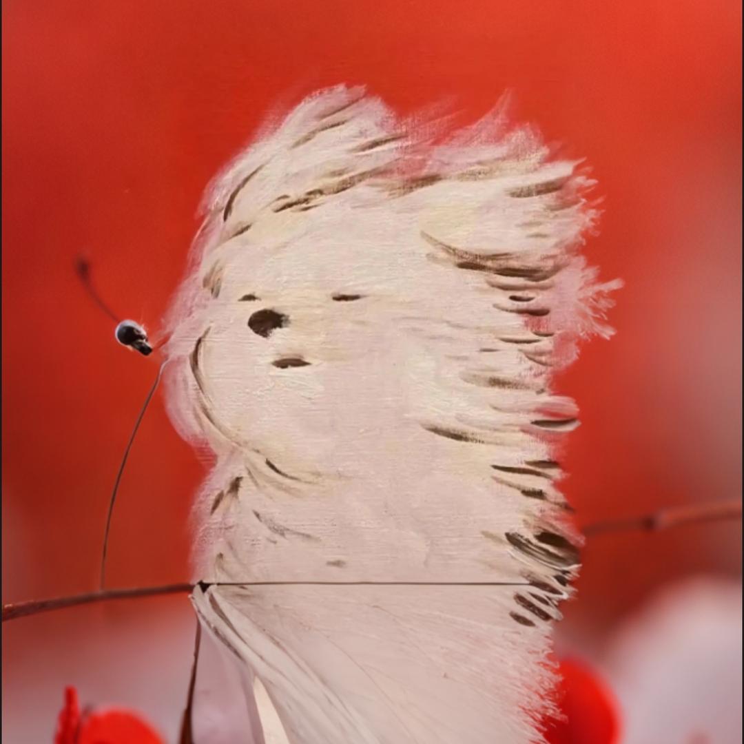white bear