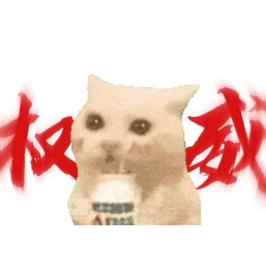 猫猫羊毛日记