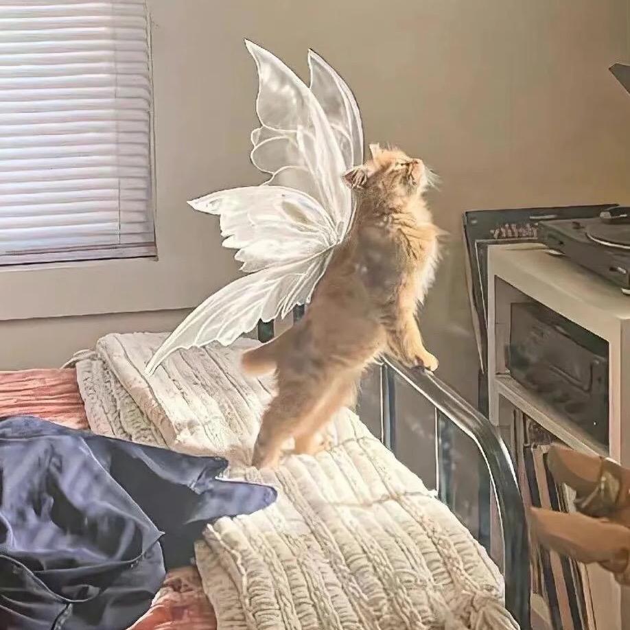 Ammmm