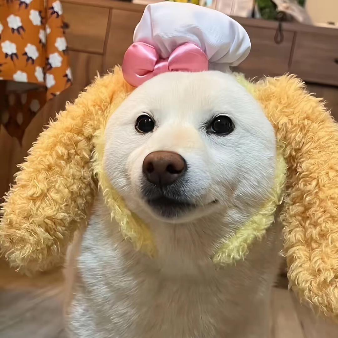 咚次哒次