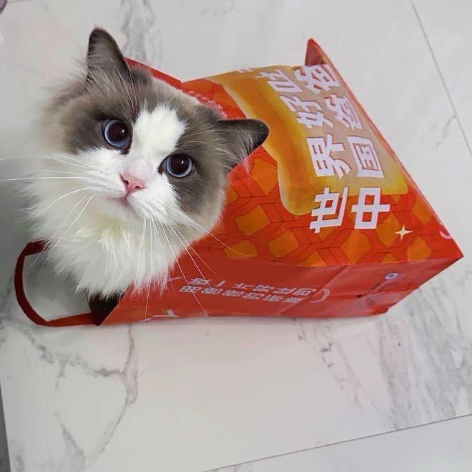 要发财啦