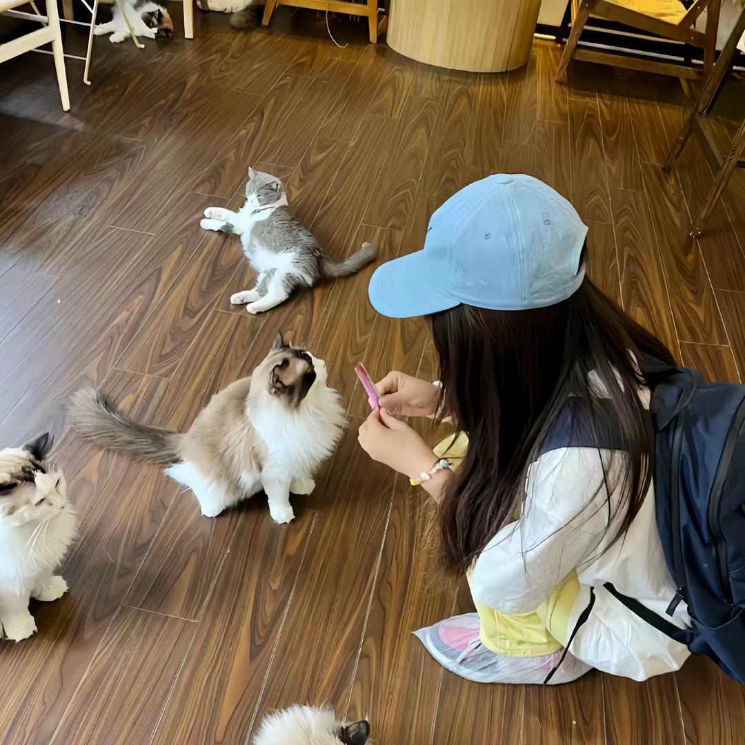 嘉嘉嘉嘉嘉ʕ •ᴥ•ʔ