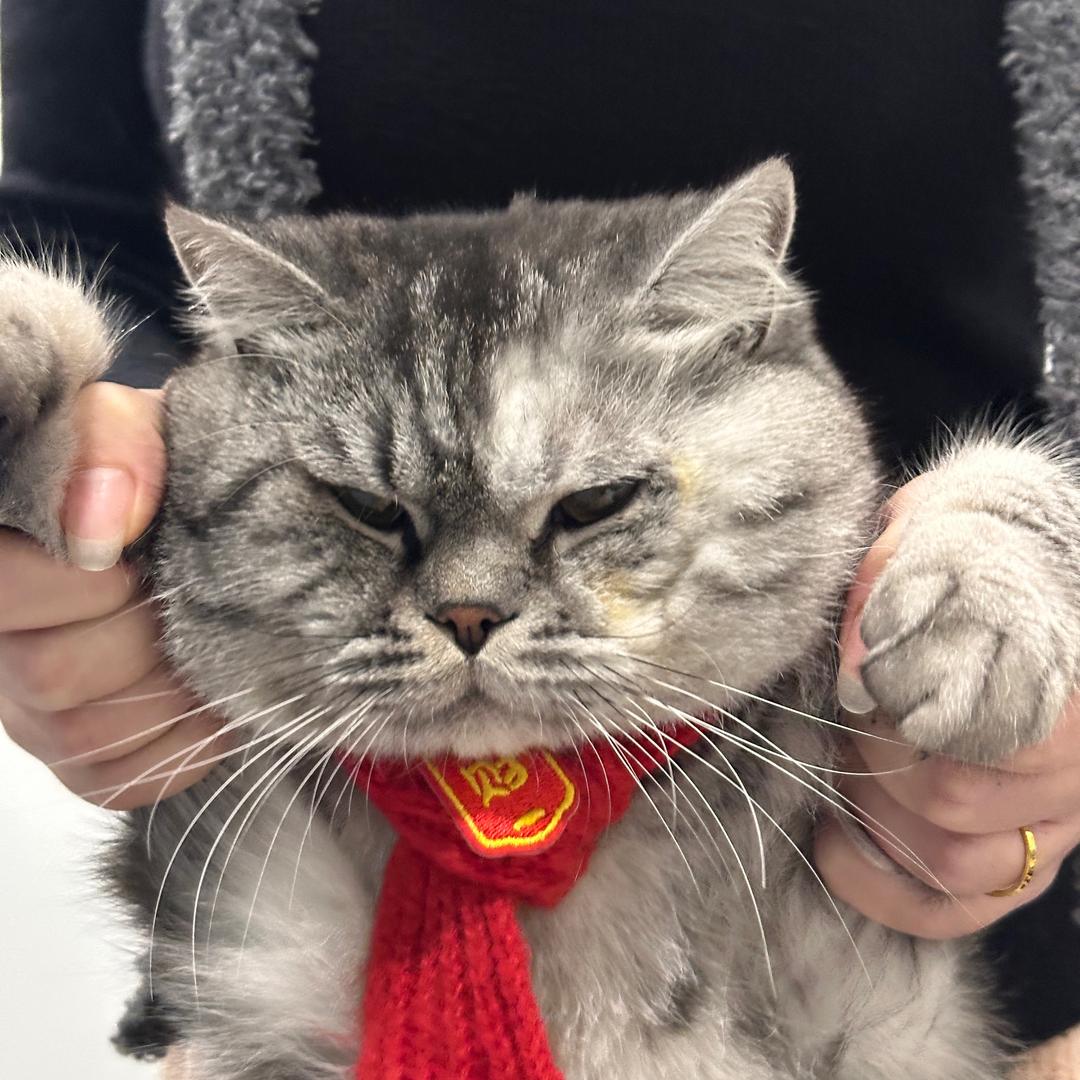 小赵-