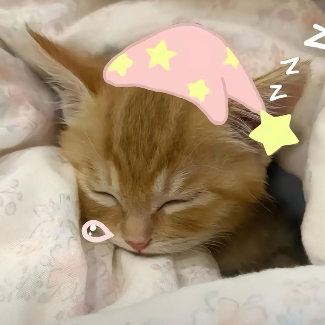 天真可爱萌