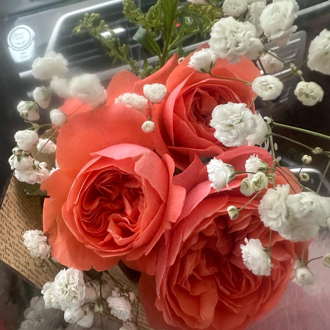 玫瑰🌹女人🙏💃
