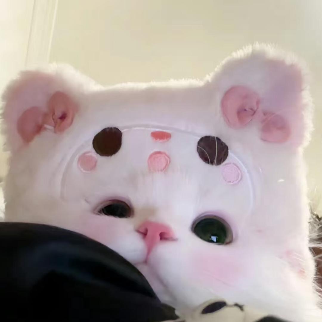 不知道叫啥