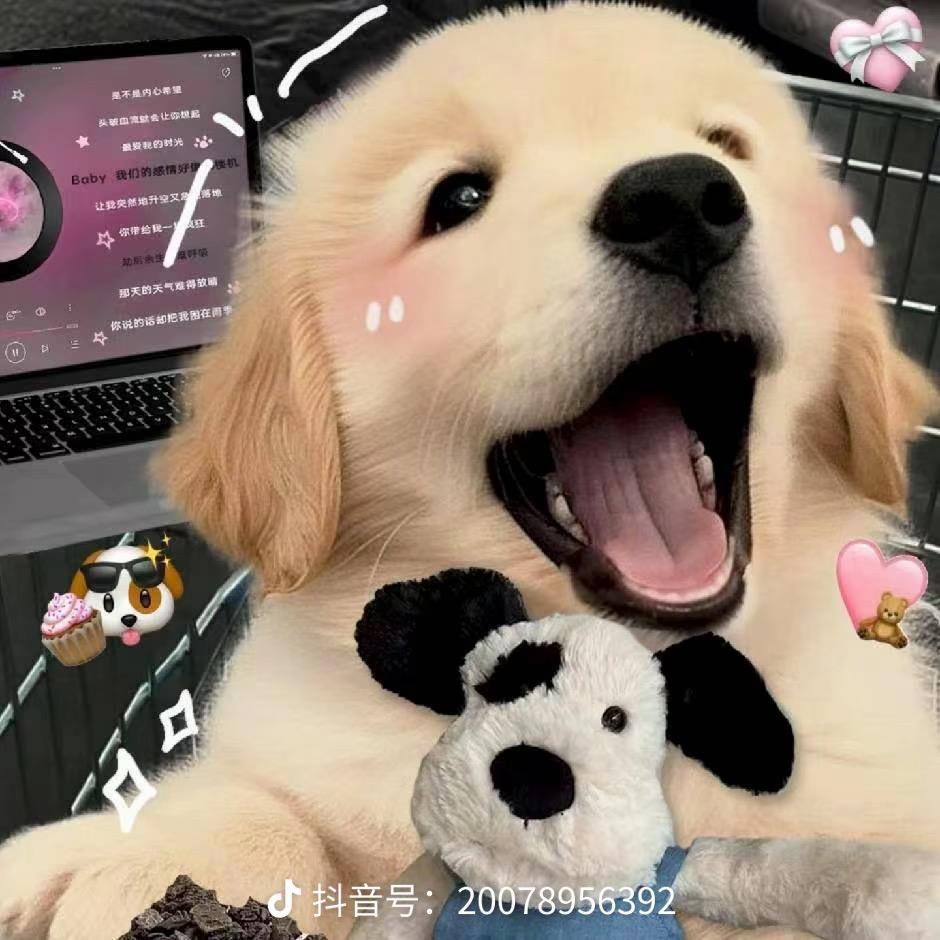 眼里只有乖宝（最近吃丹修仙中）