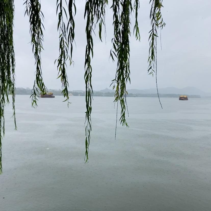 音为心声