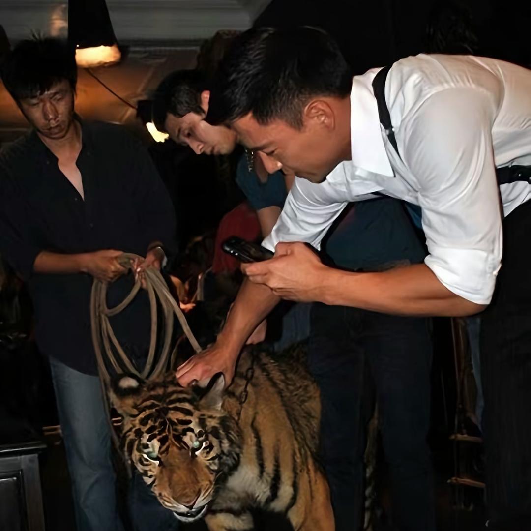 比澳门傲