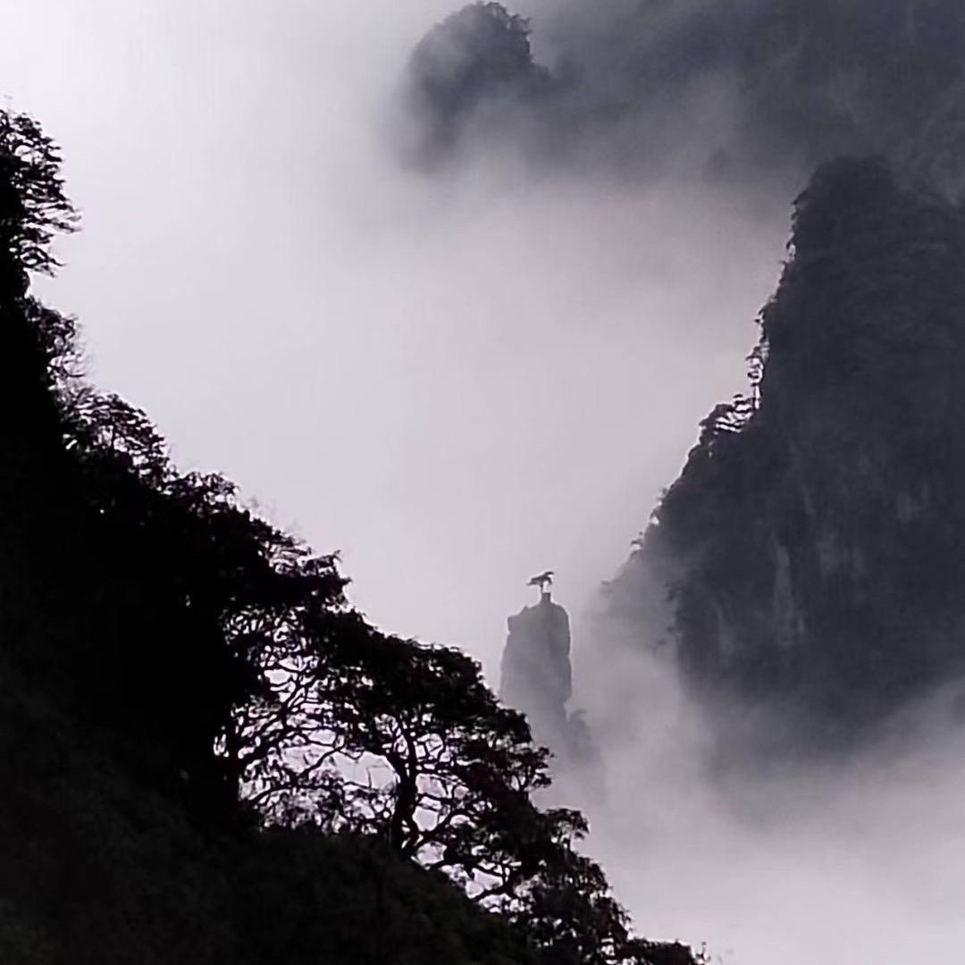 人生