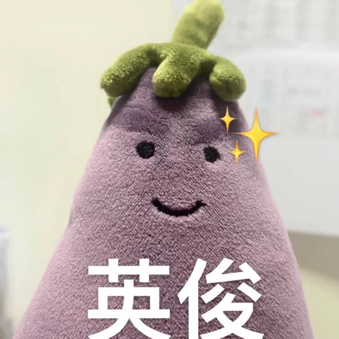 茄总