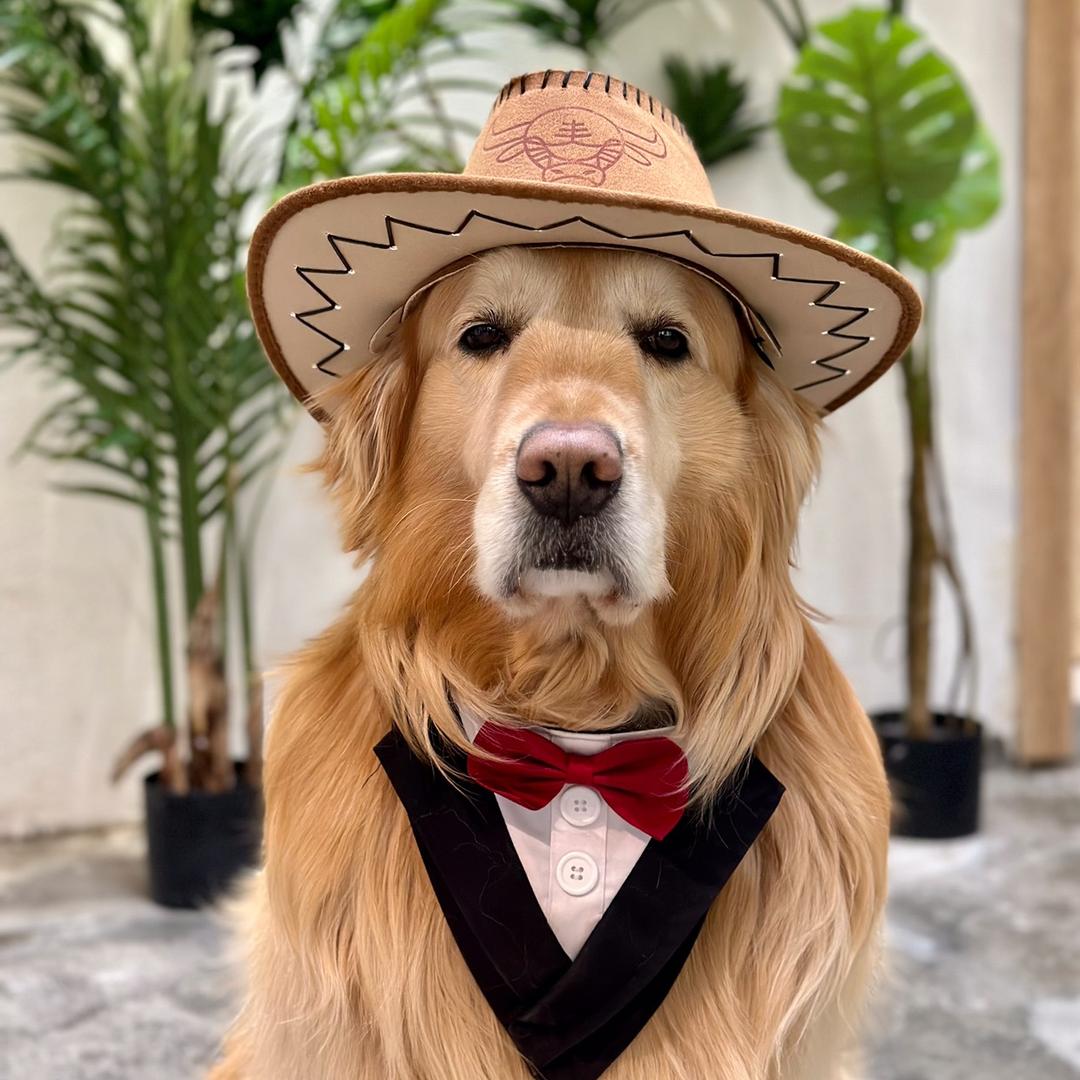 小金县芸溪山居民宿酒店