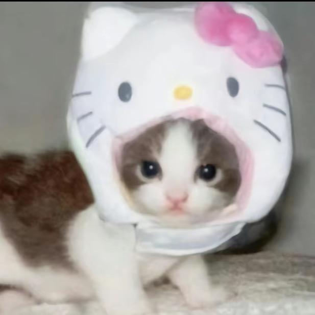 话就没少过