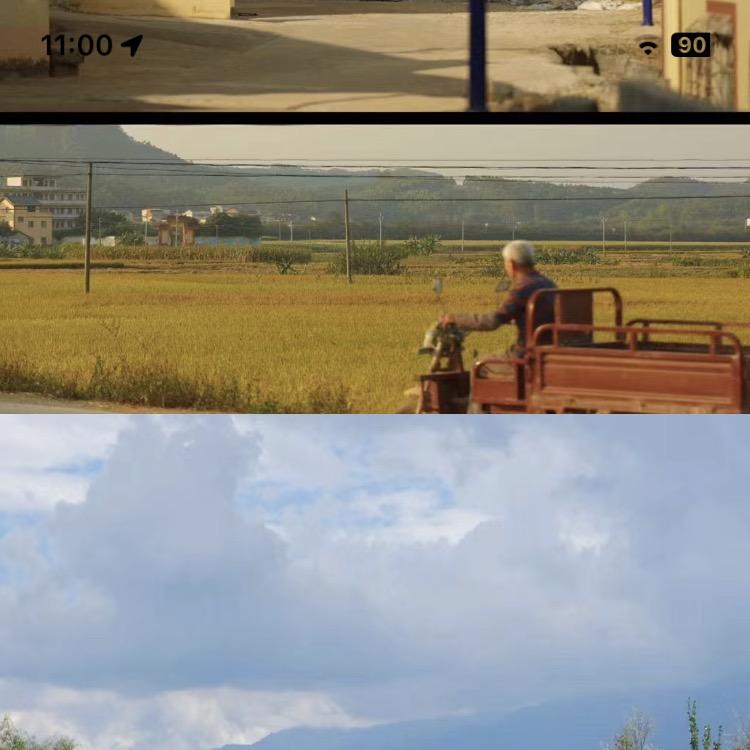 南山田园
