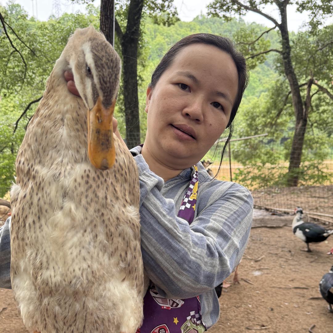 念念夫妇生态农场