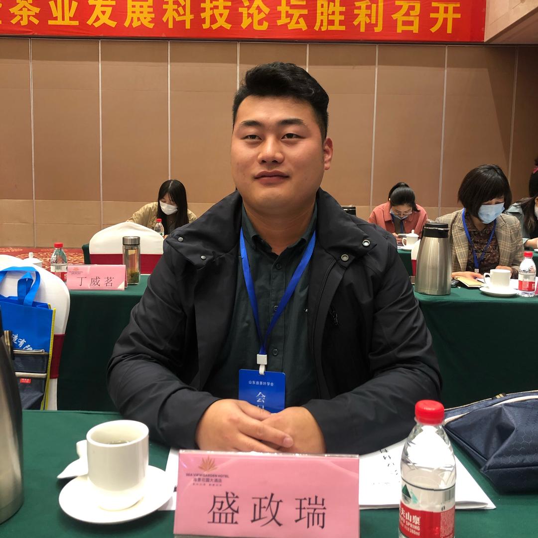 日照绿茶盛政瑞