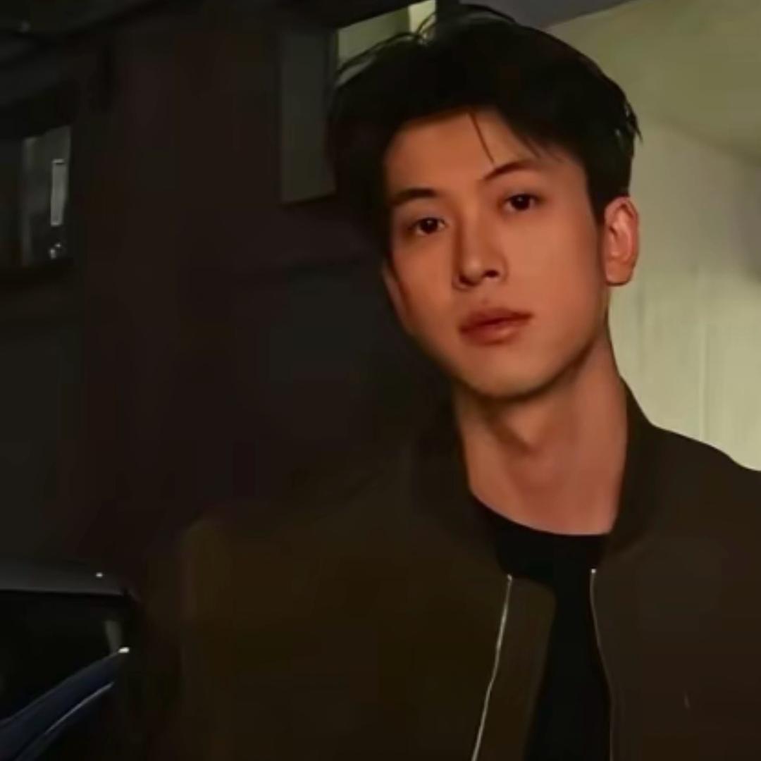 樱花树下狗和你.