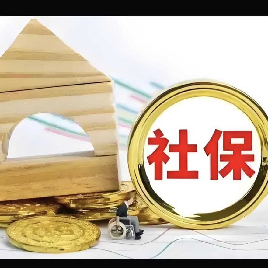 抖哥科普社保·