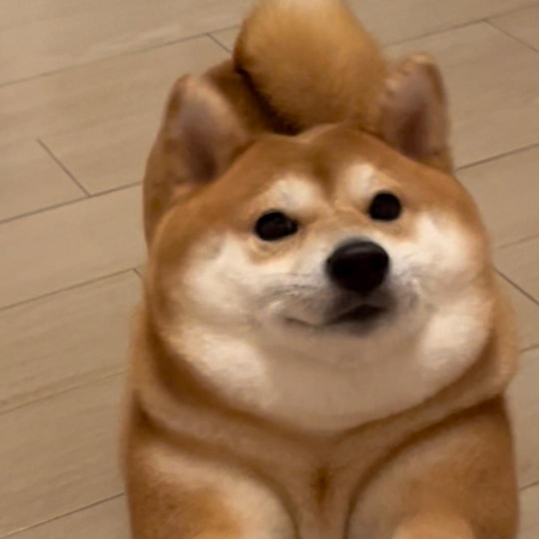 甜仔小钱钱