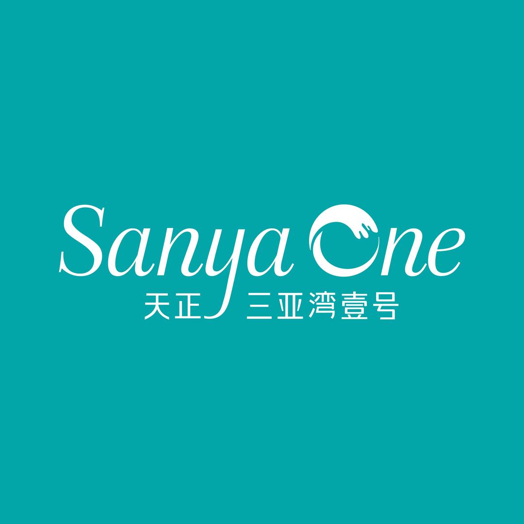 三亚天正地产