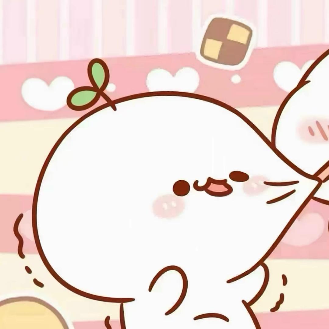 洁小豆
