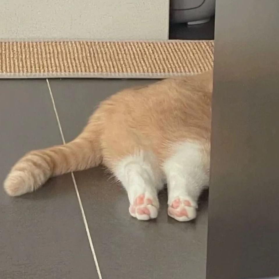 徐北枳