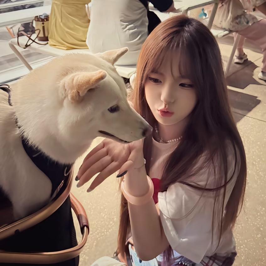 懒懒兔🐰