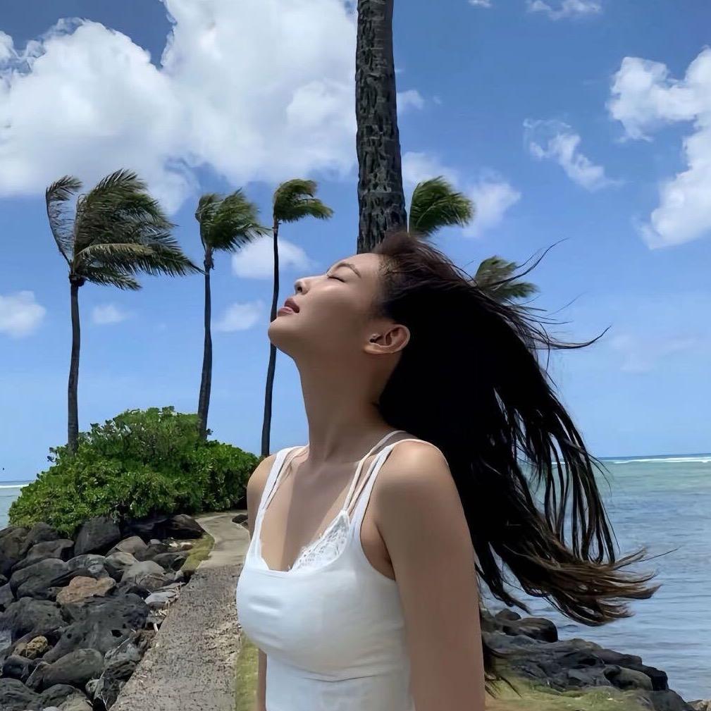 可可黄鸭