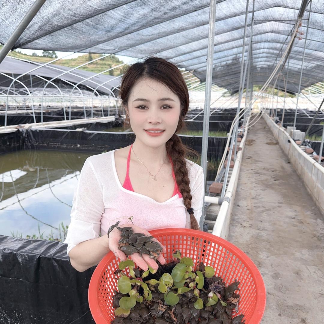 南丰小妹龟鳖水产养殖基地