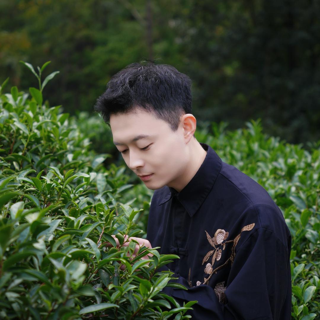 小王探茶记