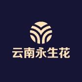 云南永生花供应链