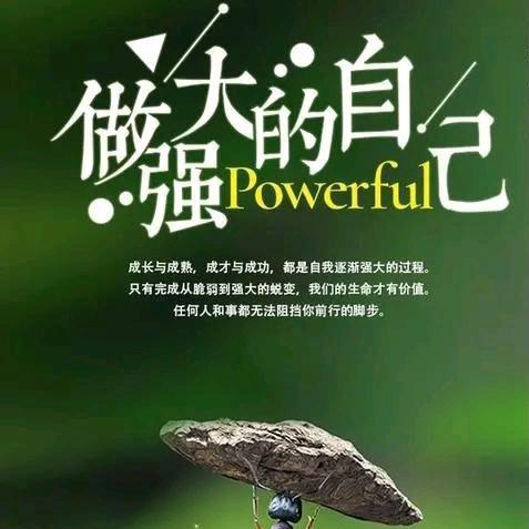 坚持与努力同在100％