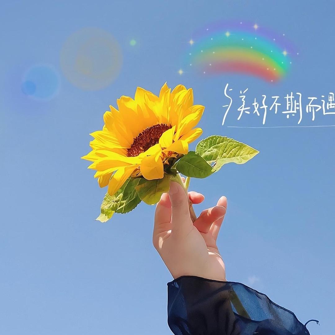 满目星何