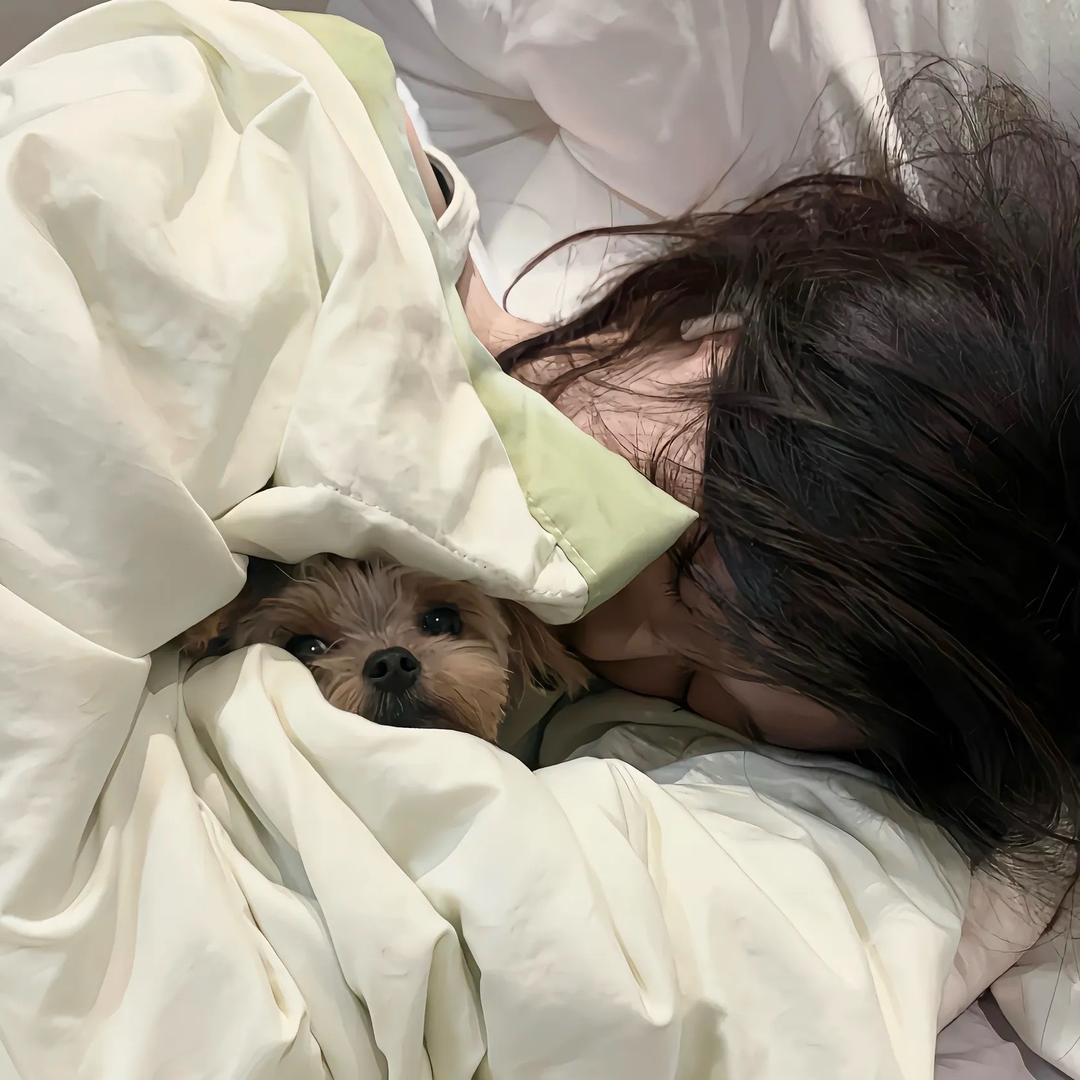 睡个好觉.