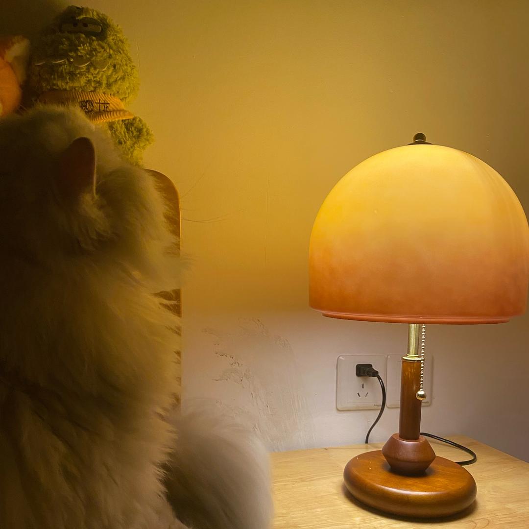 冬天想养只猫