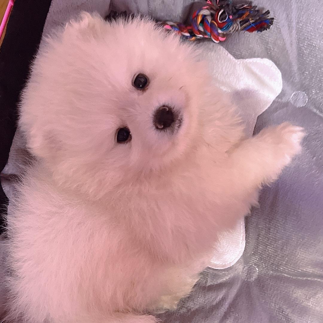 九九九九九九九