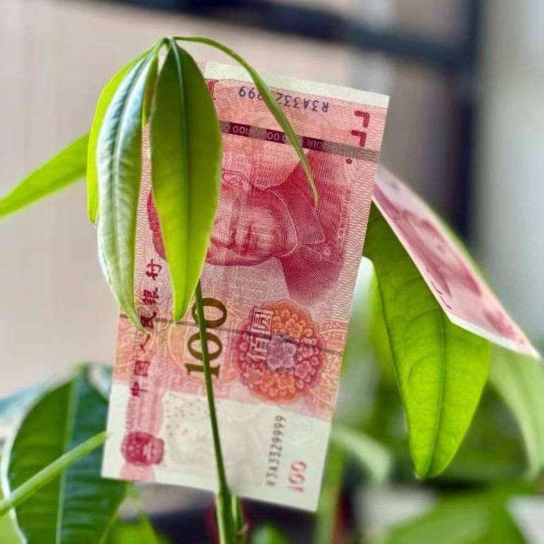 @瑞姐吖🍒